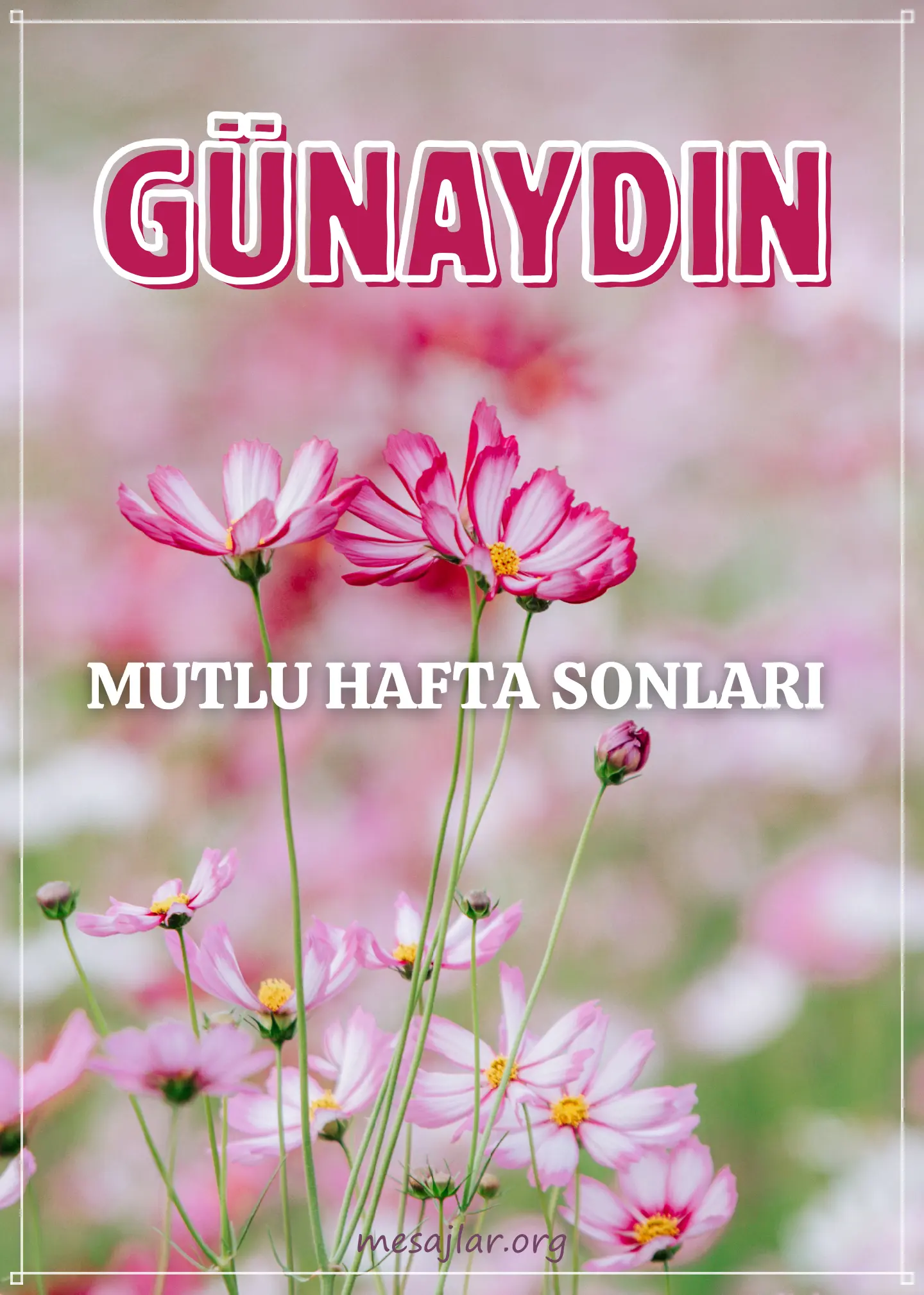 hafta sonu resimli günaydın iyi sabahlar mesajı