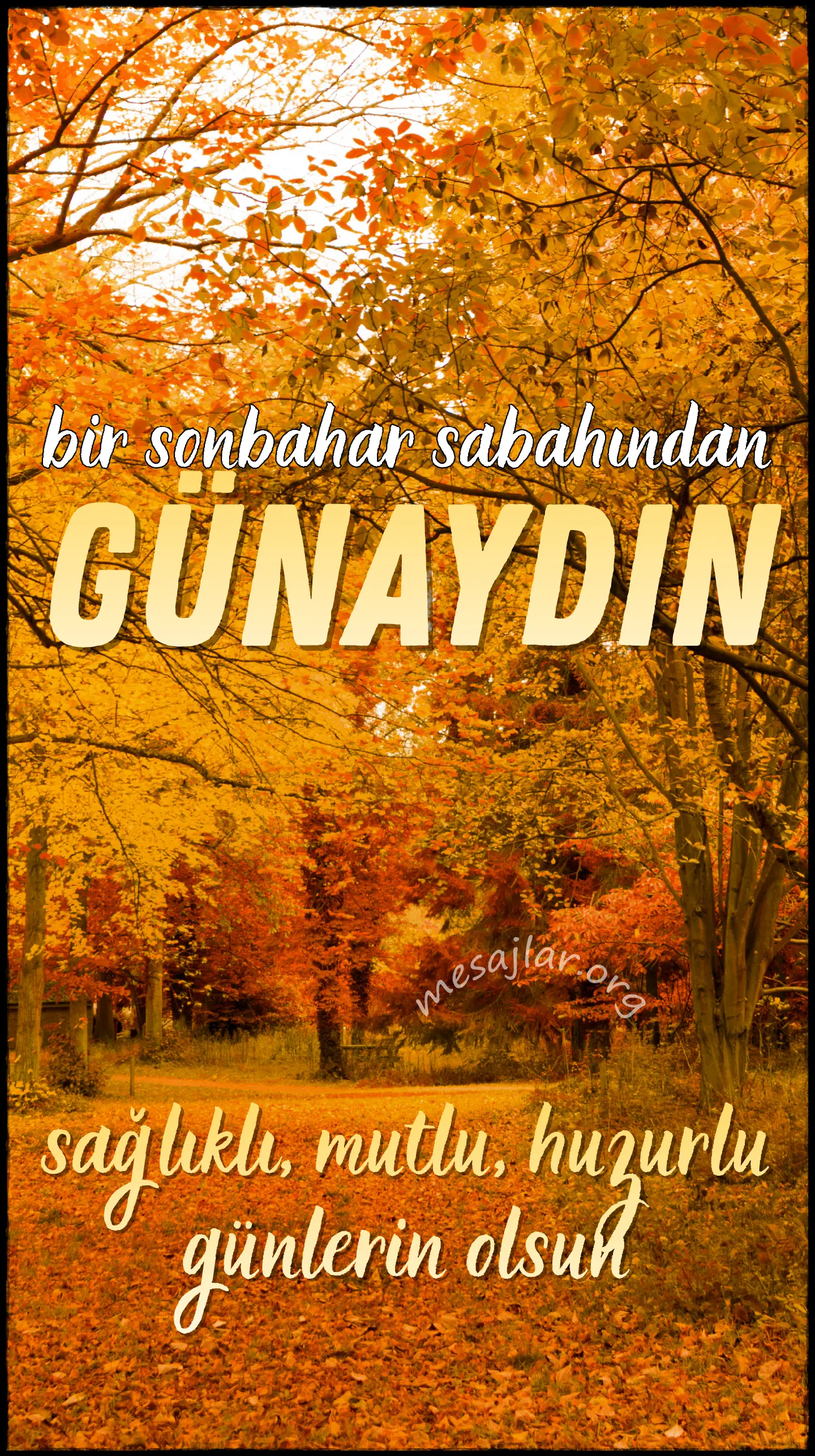 resimli günaydın iyi sabahlar mesajı