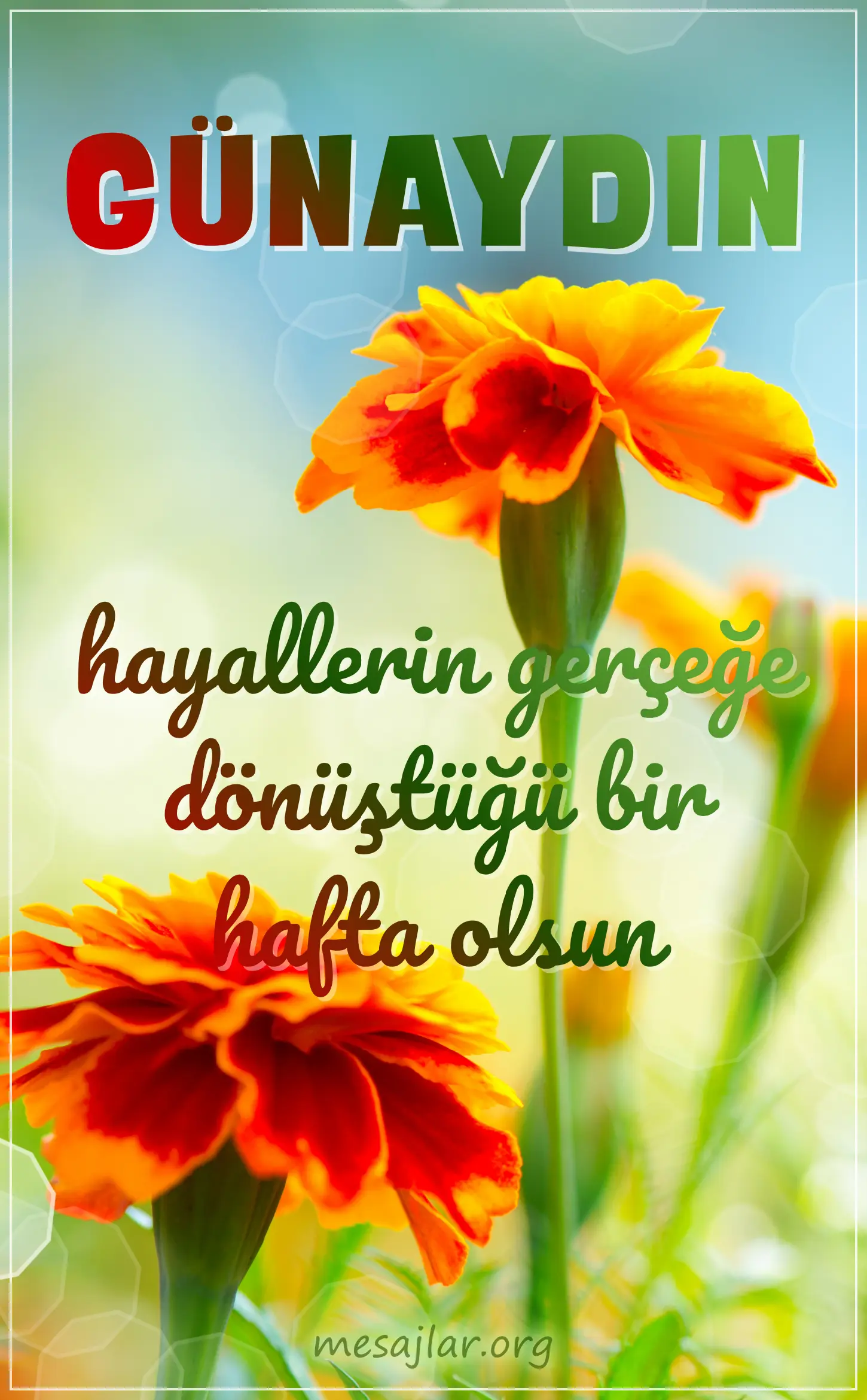 pazartesi günü resimli günaydın iyi sabahlar mesajı