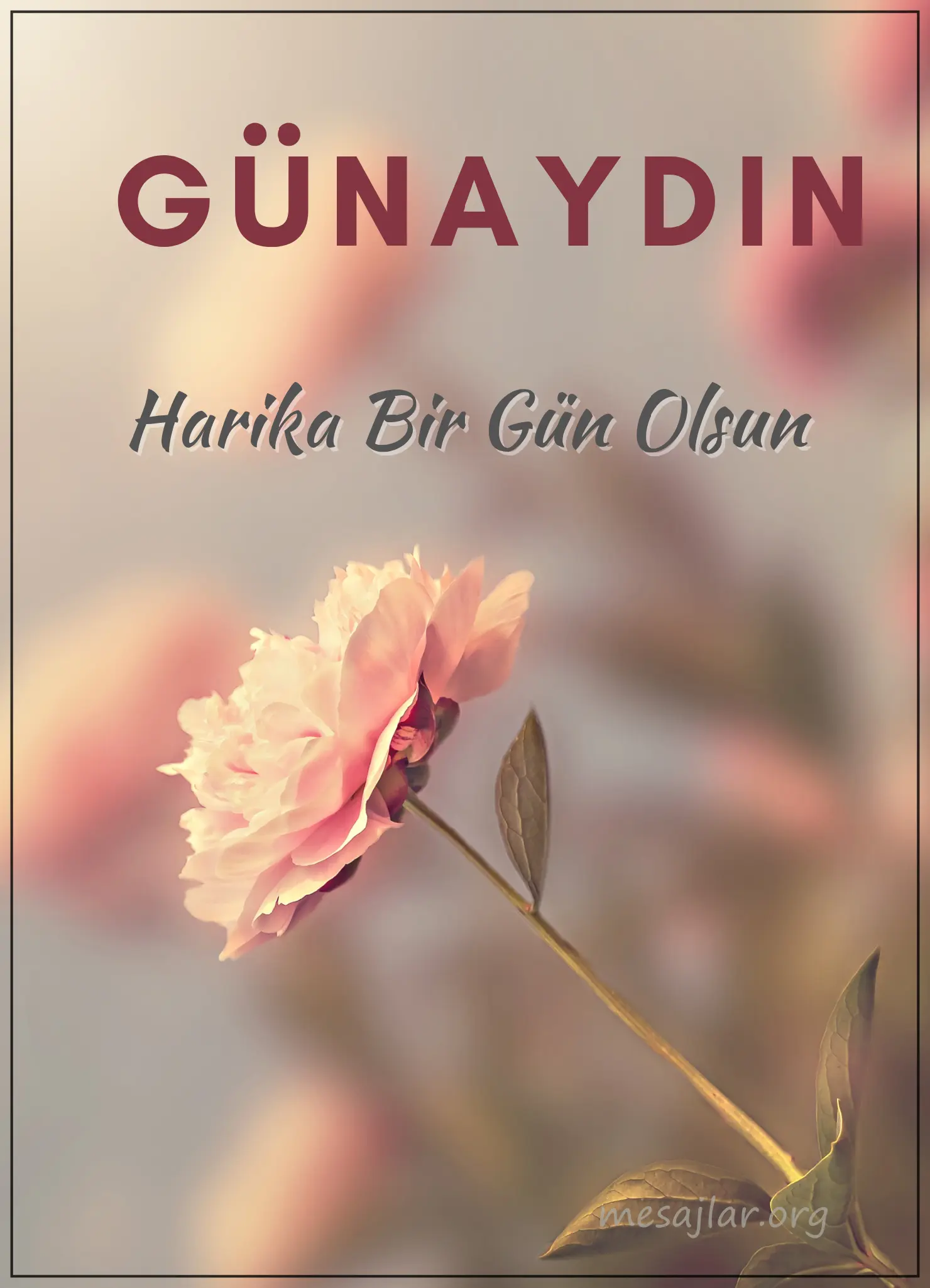 resimli günaydın iyi sabahlar mesajı