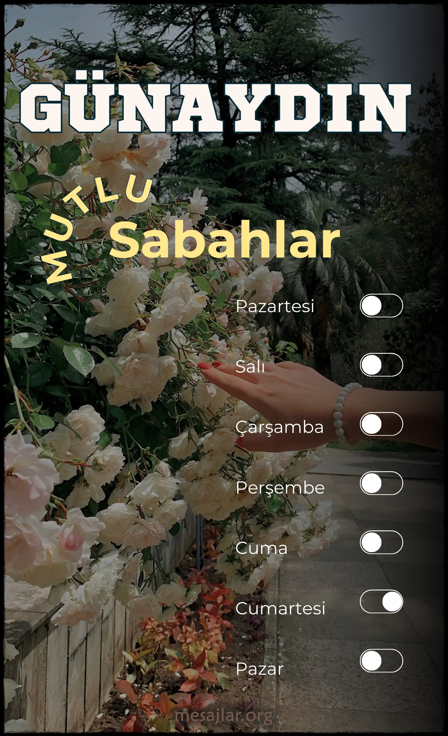 Cumartesi resimli günaydın mesajı