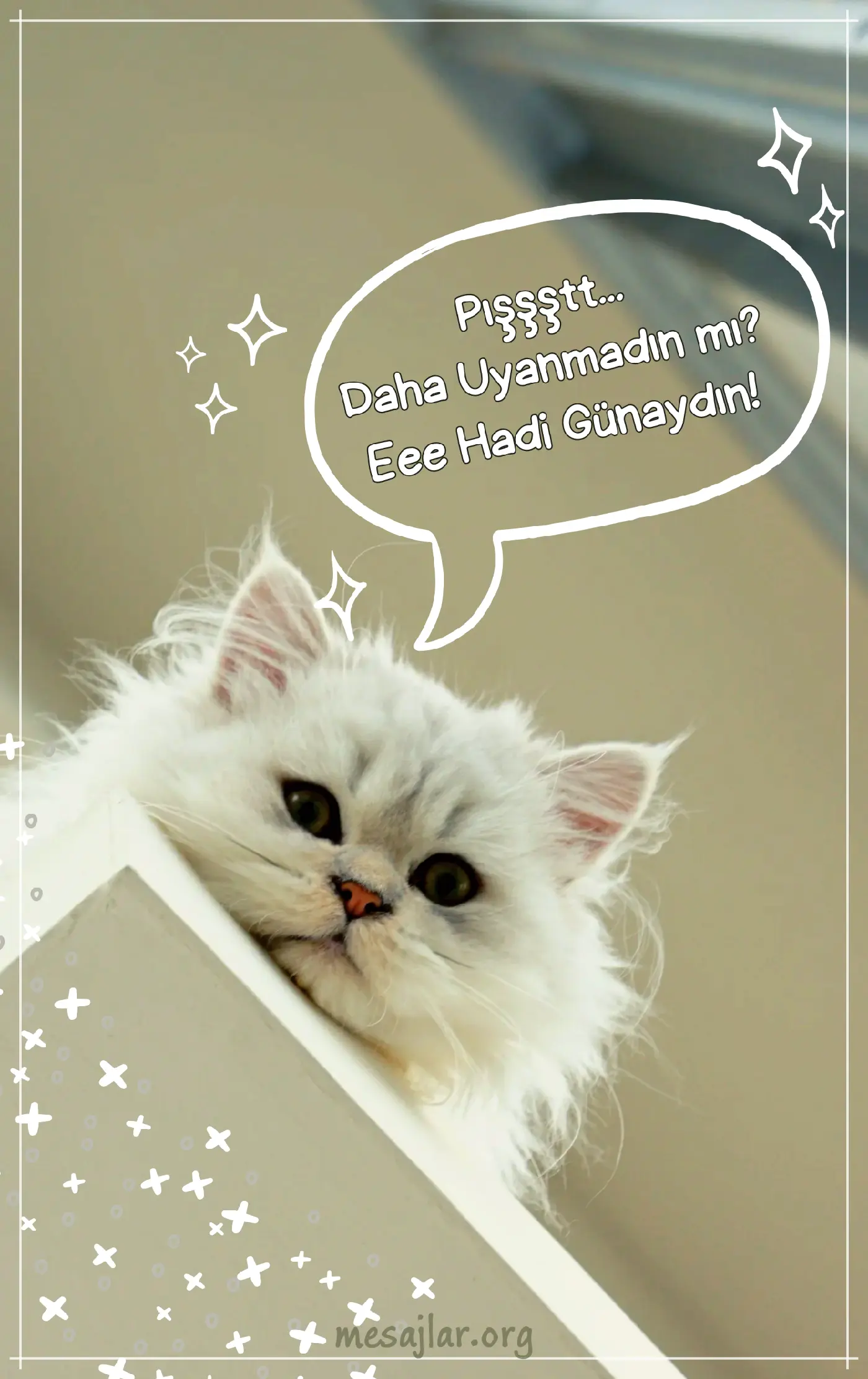 Komik resimli günaydın mesajı