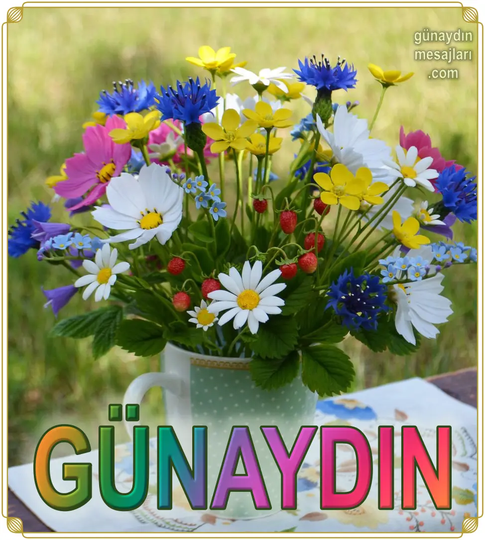 Resimli Günaydın İyi Sabahlar Mesajı
