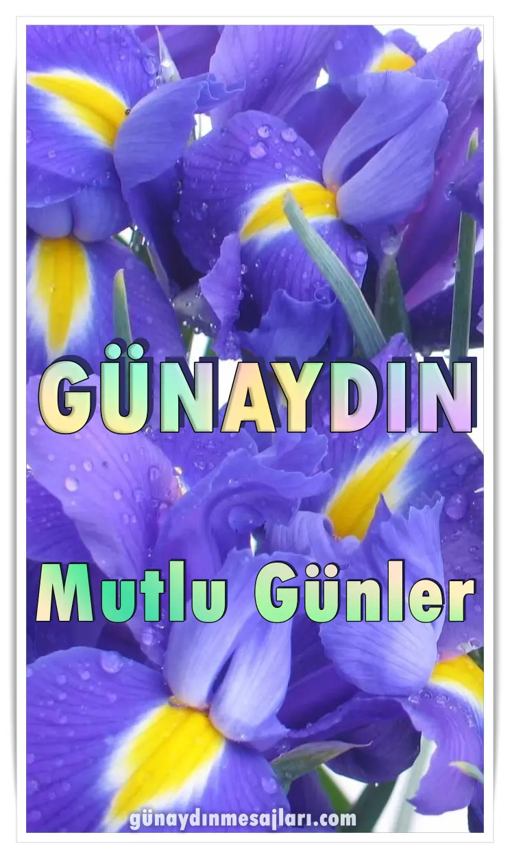 resimli günaydın iyi sabahlar mesajı