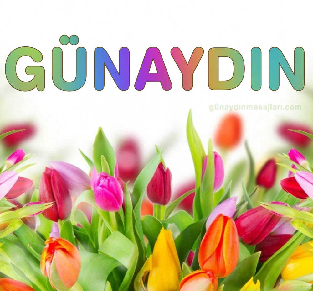 resimli günaydın iyi sabahlar mesajı