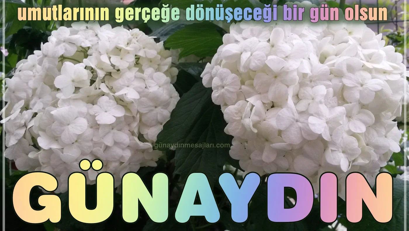 iyi dilek resimli günaydın iyi sabahlar mesajı