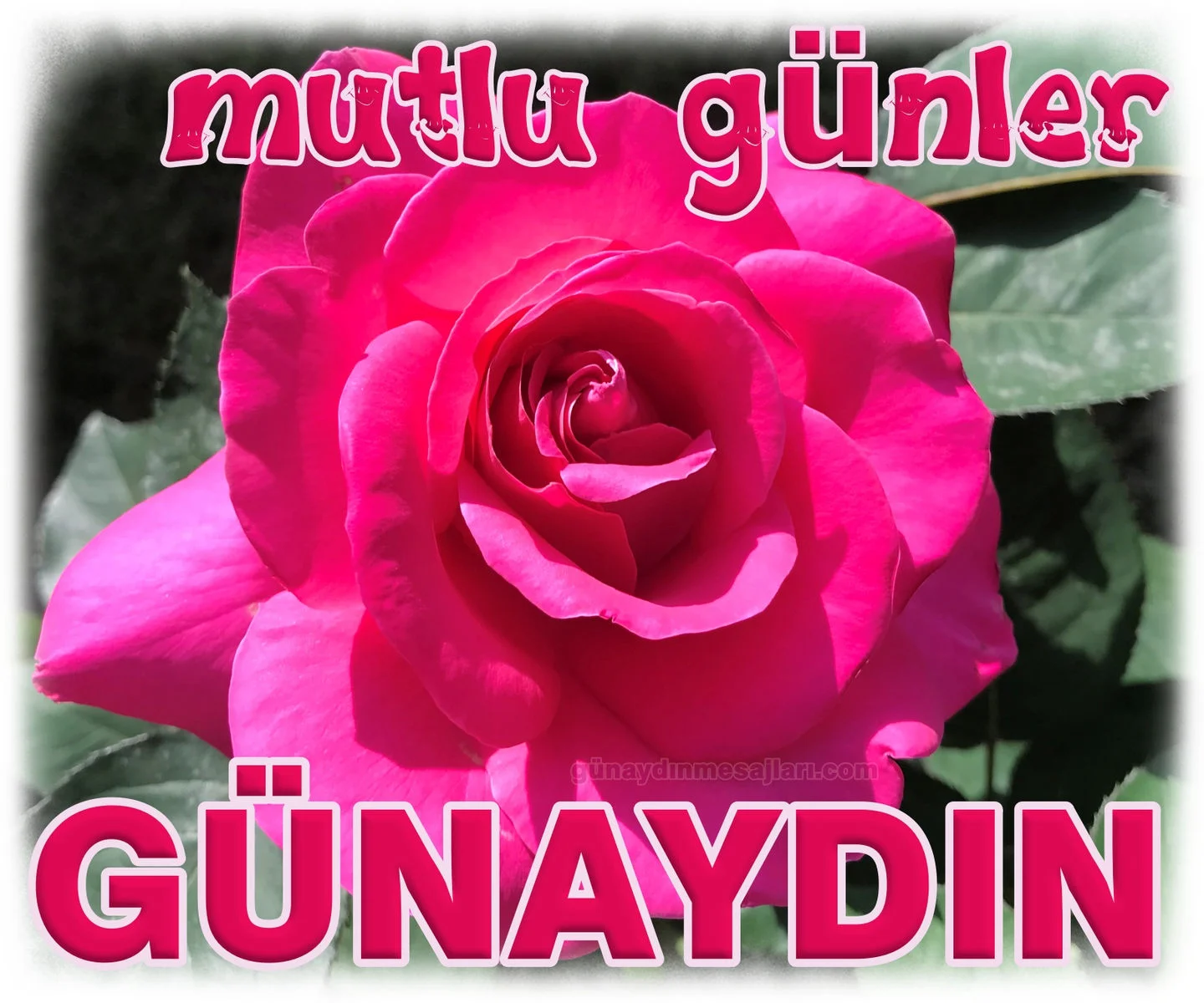 mutlu günler resimli günaydın mesajı