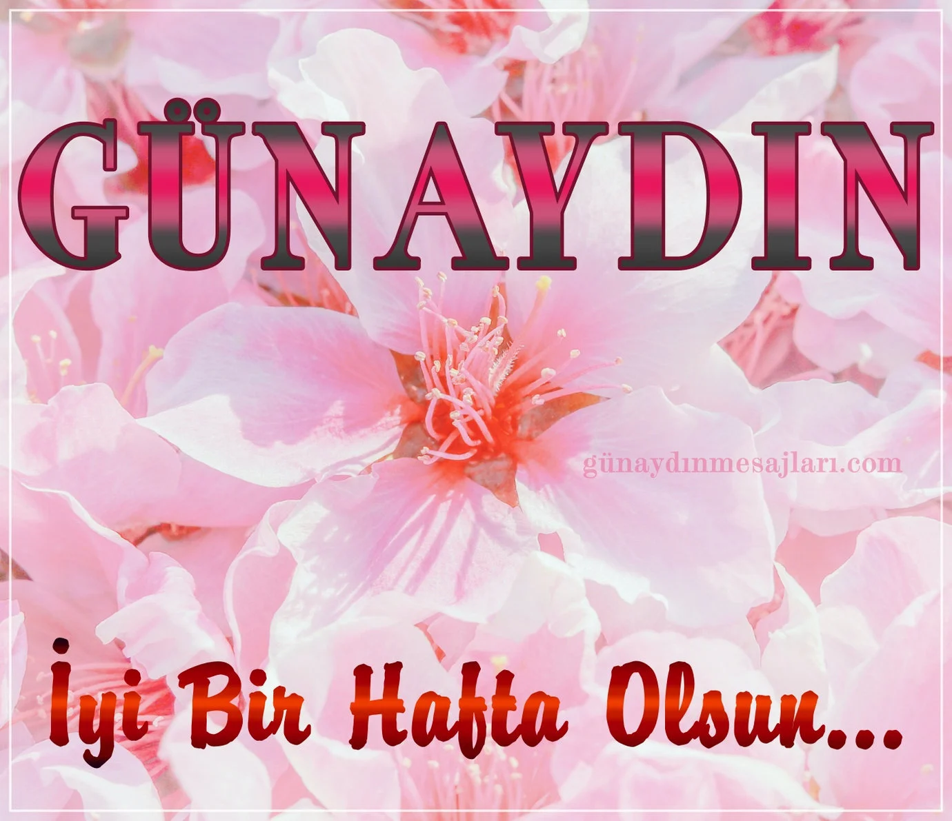 resimli günaydın iyi haftalar mesajı