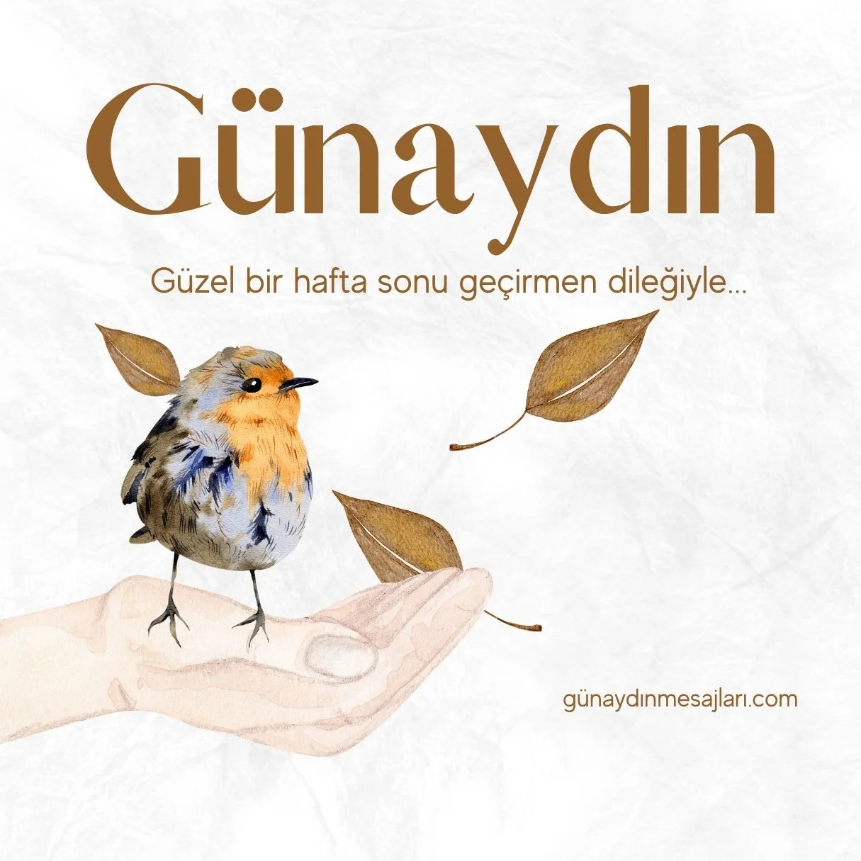 hafta sonu resimli günaydın mesajı