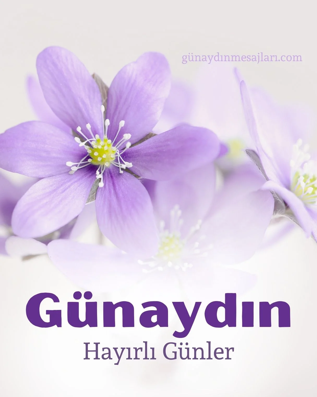 resimli günaydın iyi sabahlar mesajı