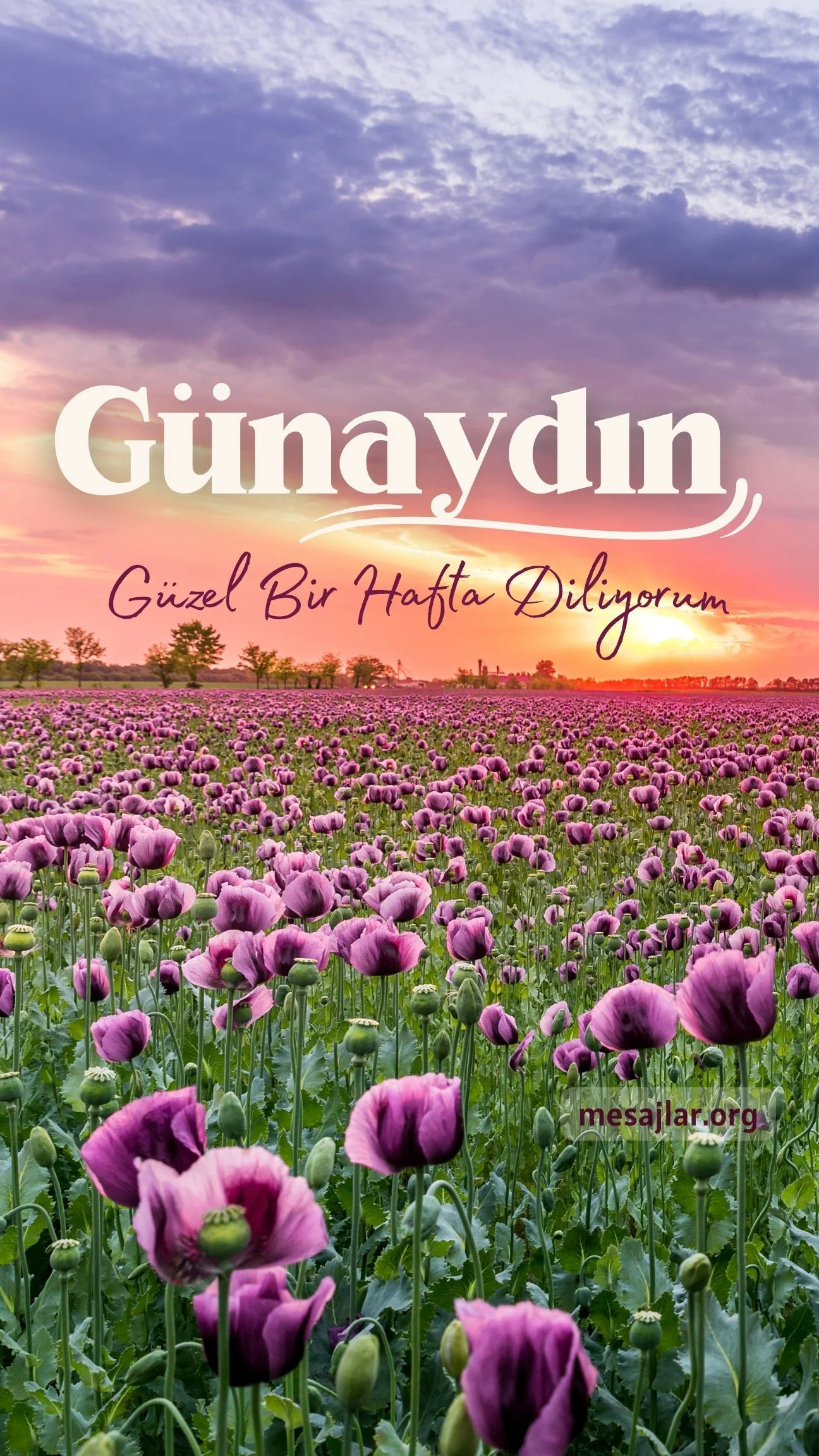 pazartesi günü resimli günaydın mesajı