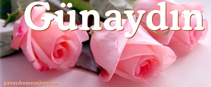 gül resimli günaydın iyi sabahlar mesajı