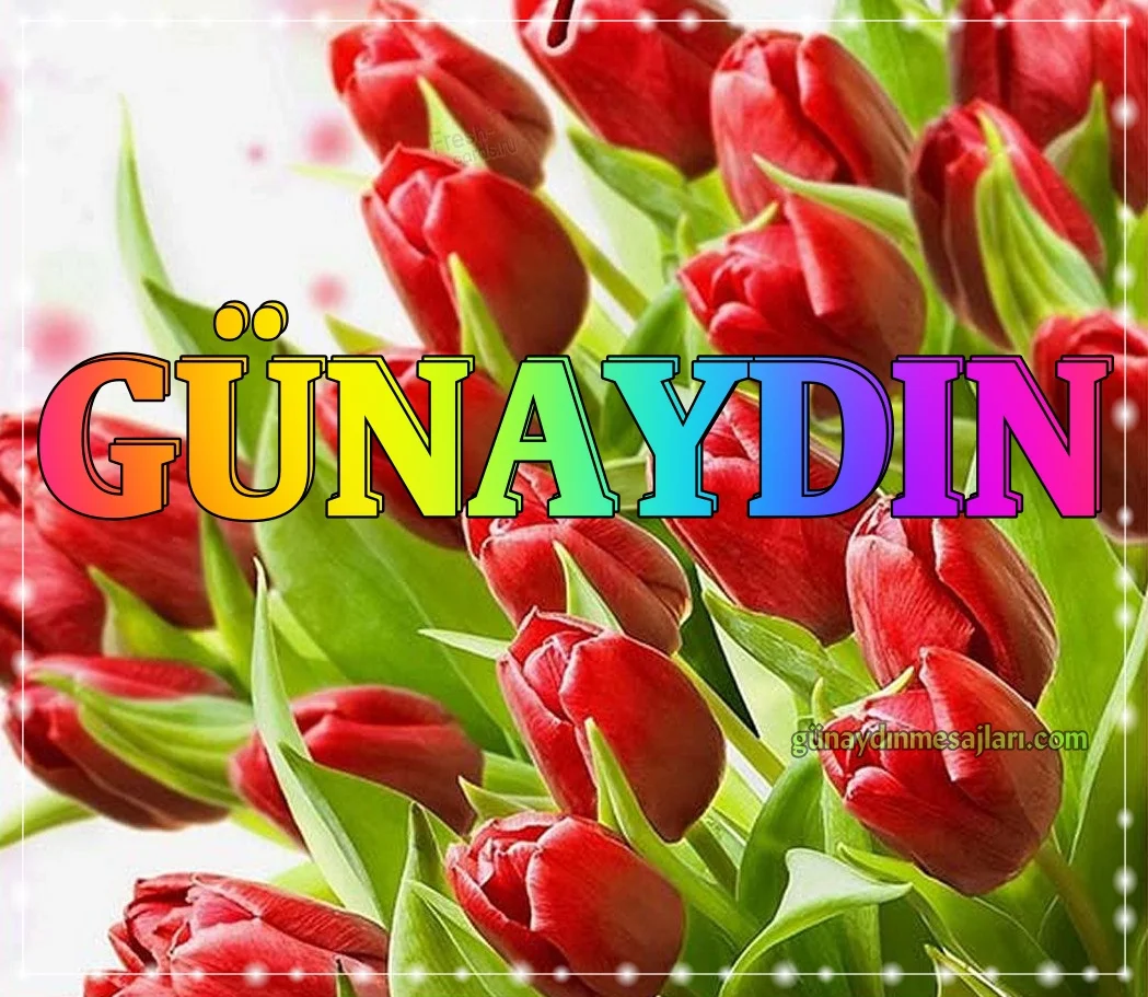 lale resimli günaydın iyi sabahlar mesajı